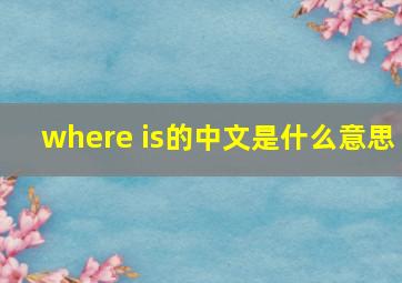 where is的中文是什么意思